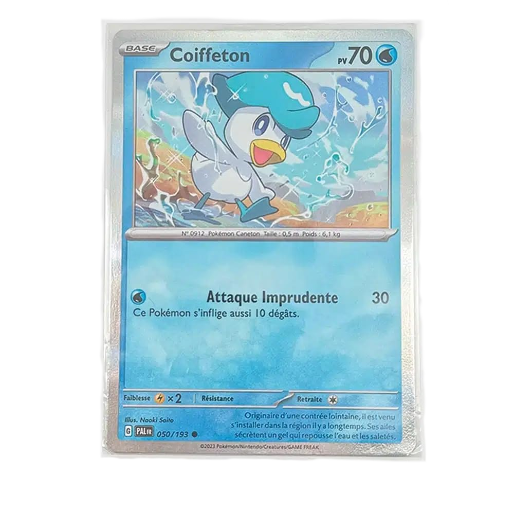 100 Sleeves de Protection pour Cartes Hanami